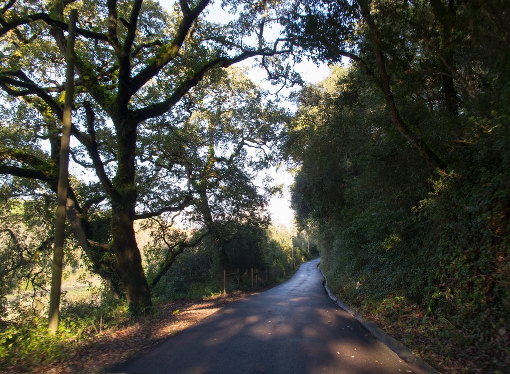 Quinta De Sao Tadeu Hotel Sintra Eksteriør billede