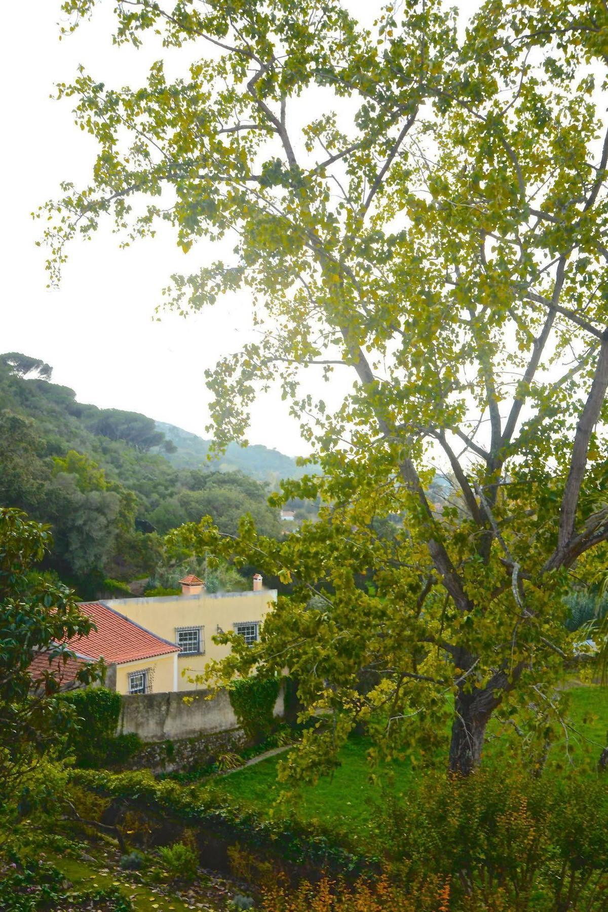 Quinta De Sao Tadeu Hotel Sintra Eksteriør billede
