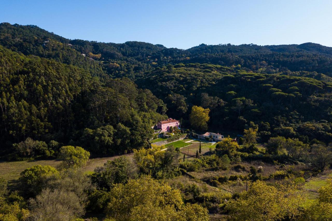 Quinta De Sao Tadeu Hotel Sintra Eksteriør billede